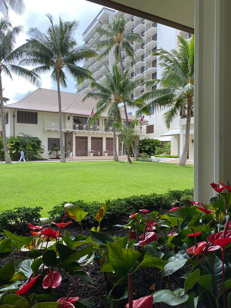 中庭を取り囲む植え込みの花も植え替えたり、造園もアップグレードしています。