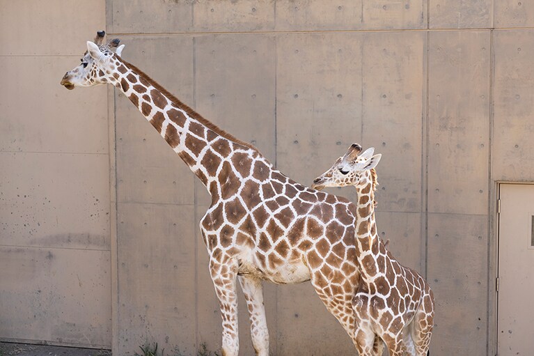 お母さんの「結」と子どもの「あさひ」。