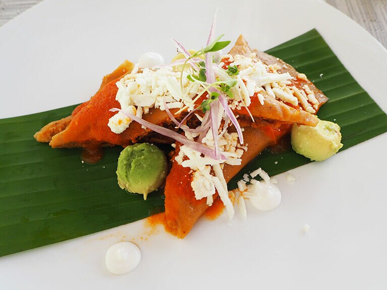 ロスカボス「ル ブラン」のレストラン「ブラン インターナショナル」のタマーレス、オアハカスタイル。鶏肉を詰め、モレとチリソースを合わせている。【E】