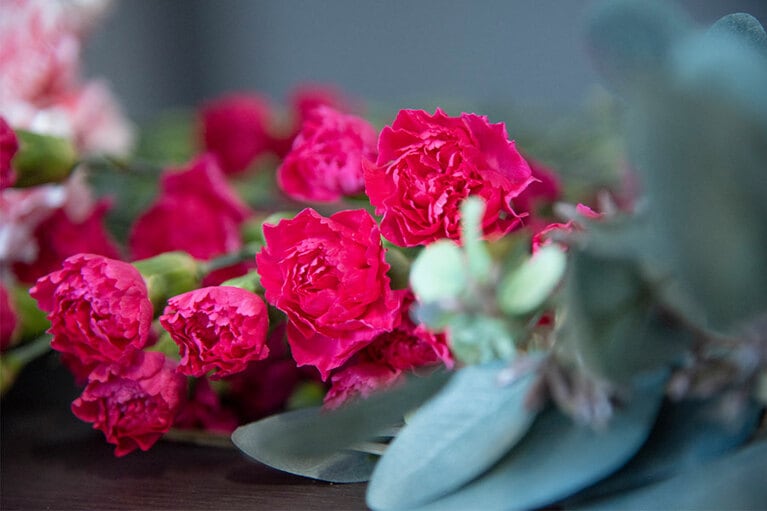 色の種類が豊富なのもカーネーションの魅力。