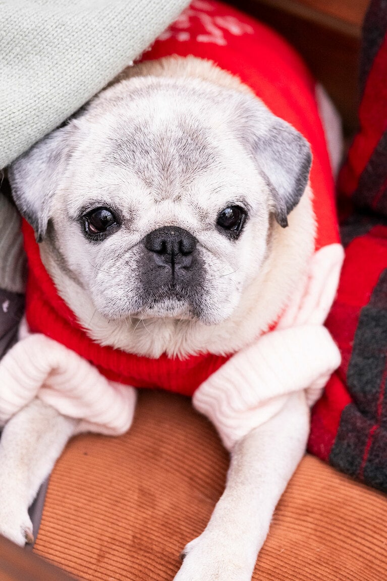 アザーカット。