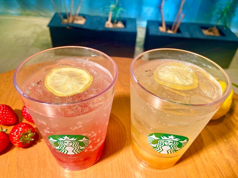 ソーダにフルーツの鮮やかな色が映え、見た目にも涼しげ。トップには、ジューシー感を残したセミドライレモンスライスが添えられています。