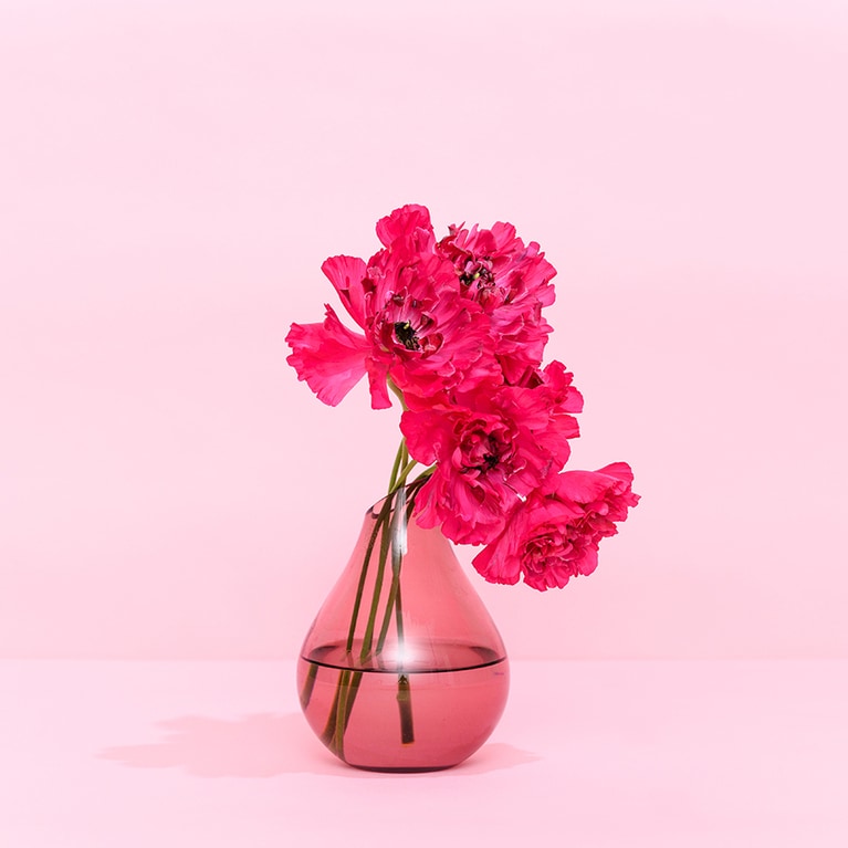 シャルロットシリーズの中でもピンク色が濃い「シャルロットローズ」。