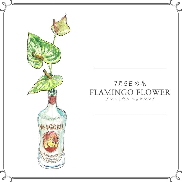 7月5日の花「アンスリウム エッセンシア」