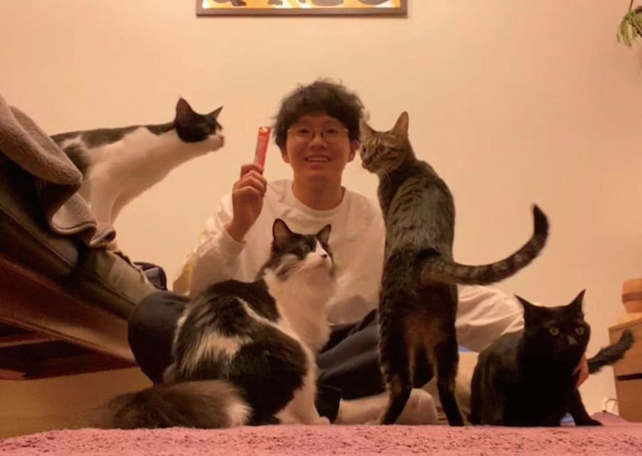 ミキ・亜生さんと一緒に暮らす保護猫たち。『保護ネコに幸せにしてもらった僕の推しネコ活』（主婦の友社）より