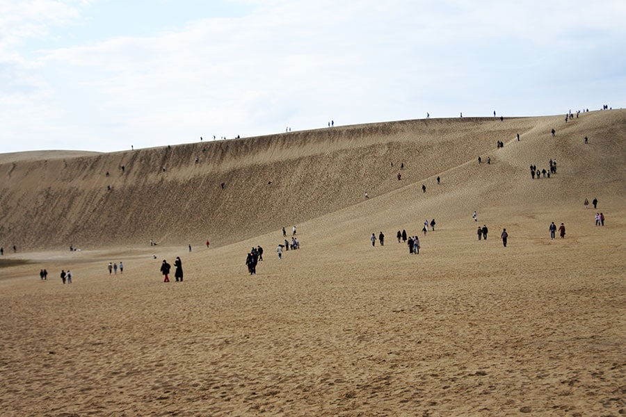 鳥取砂丘は入場無料。スタート地点から直線に進む人が多いですが、右回りのコースも日本海とのコントラストがステキです。