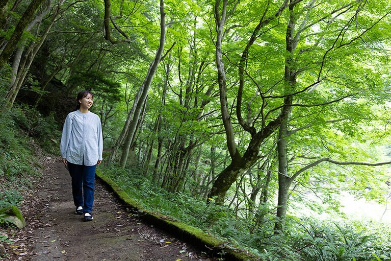 片道10分ほどのコースから4時間ほどのコースまで、多種多様な散策コースがある。