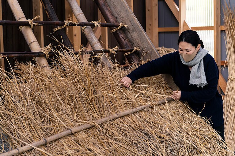 「かやぶき屋根」のふき替え体験。
