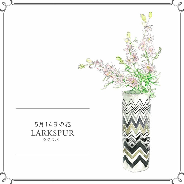 5月14日の花「ラクスパー」