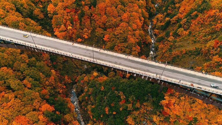 城ヶ倉大橋の紅葉。