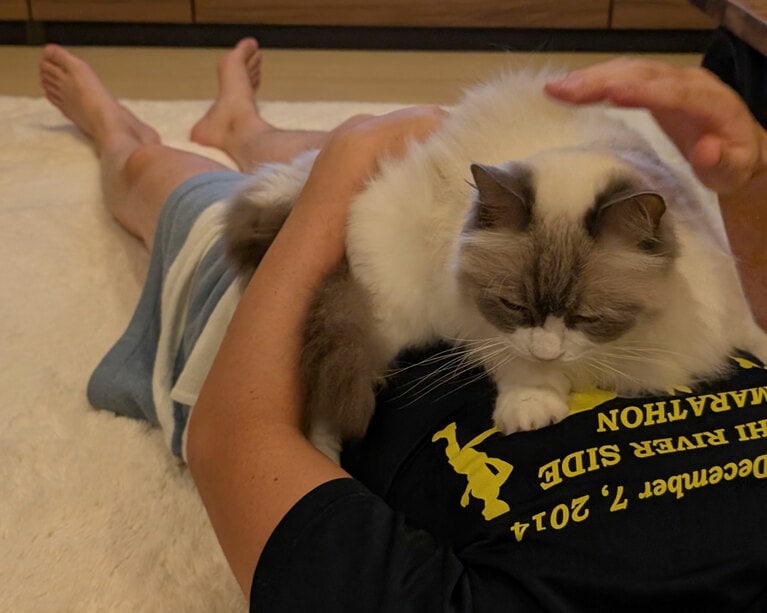 甘えん坊部門4位：ノエル ♂ 13歳。