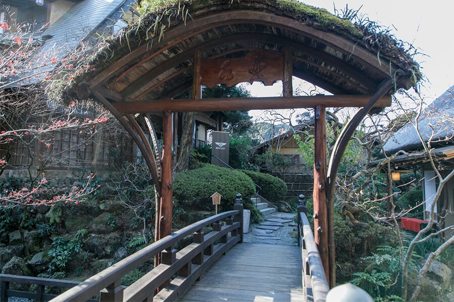 広大な日本庭園にお部屋が点在。目指す離れまでの庭のアプローチにも風情がある。