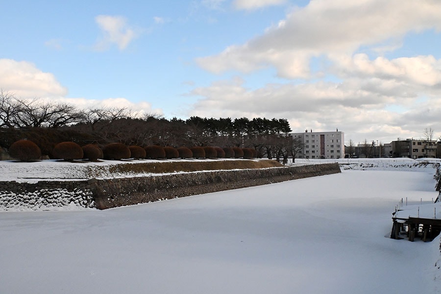 永倉さんが泳いでわたった二の橋からお堀を眺める。2月は氷が張っていました。