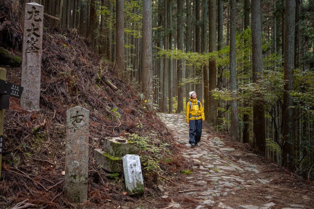 趣のある石畳の道の先に大峯奥駈道の道標が。