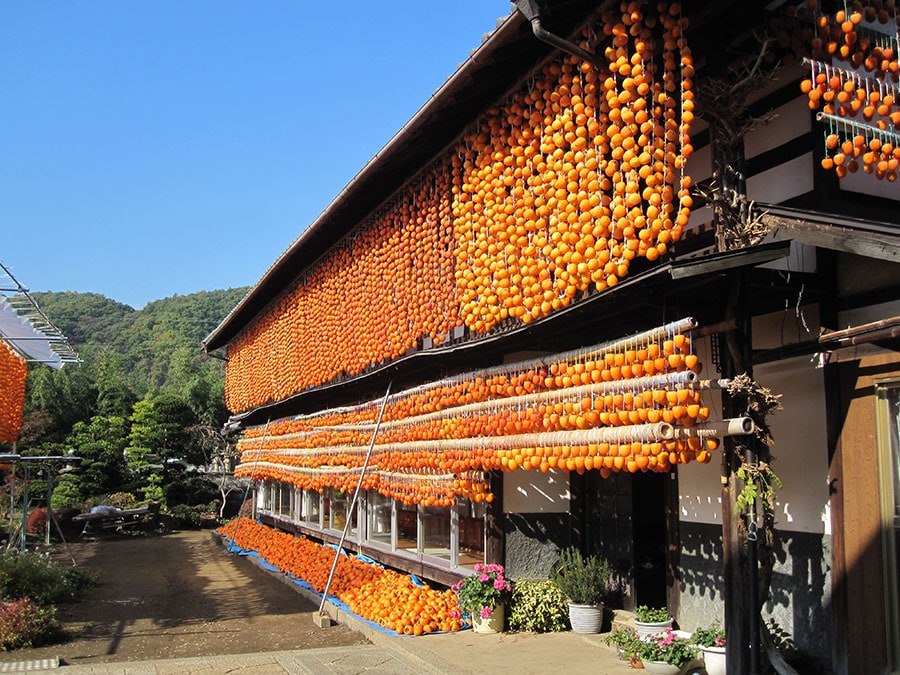 【山梨県】甲州市松里地区の枯露柿づくり。