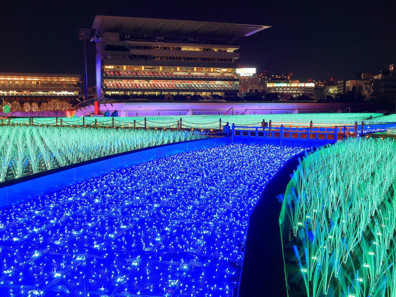 【東京都】東京メガイルミ。©️ kazukiatuko / PIXTA