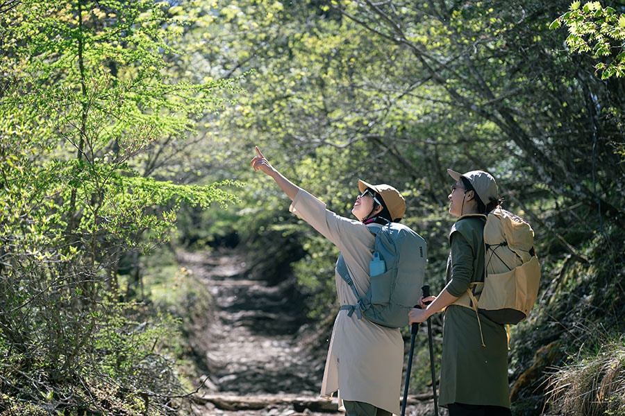 森の中にはおもしろ生き物やモノで溢れている。