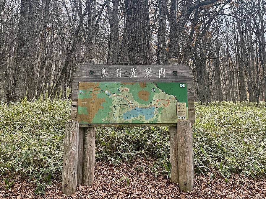 奥日光は都内よりも気温が低いので、防寒対策は必須です。