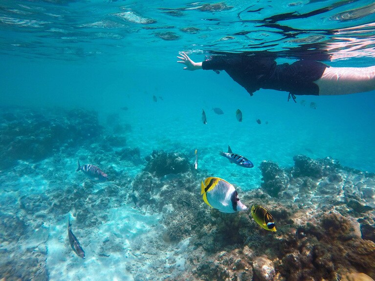 世界に誇る慶良間諸島の海。スノーケリングでもカラフルな魚たちと戯れられます。©セルリアンブルー