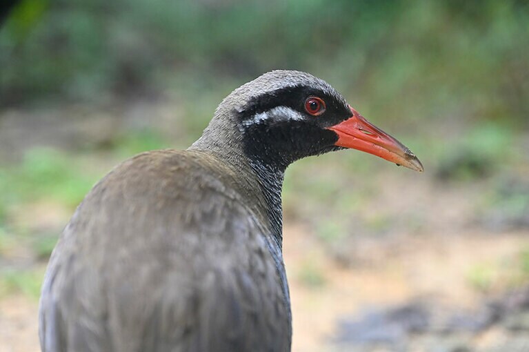 本物に出会える感動をじっくり堪能。