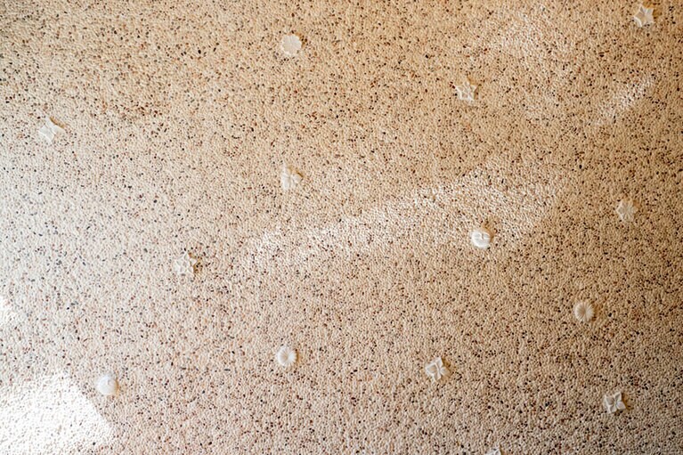 大浴場の内湯には8種類の山の花をモチーフにした臼杵焼の装飾が。