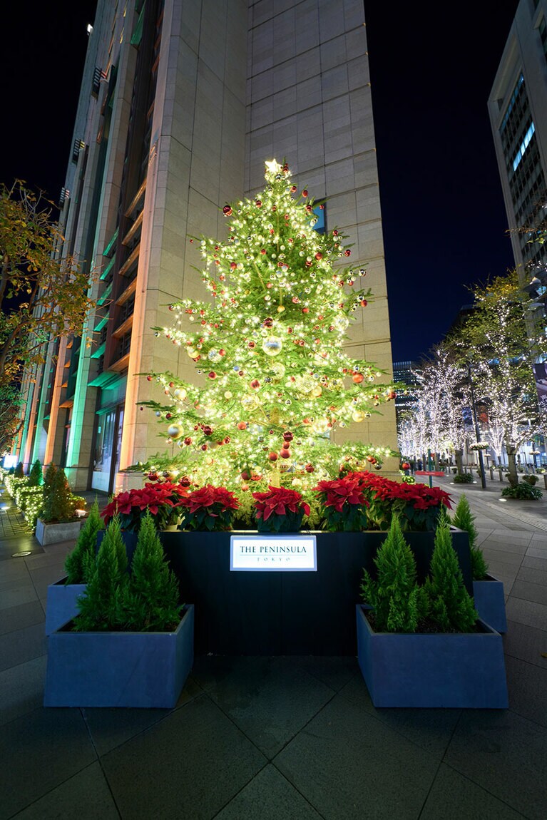 屋外のツリー。