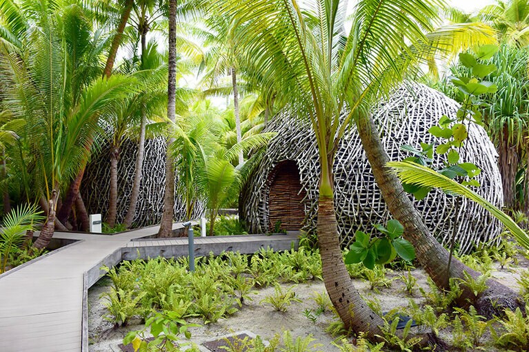 鳥の巣のようなスパのトリートメントルーム。周囲は葦林の池が広がり、トロピカルな印象とは一味違います。