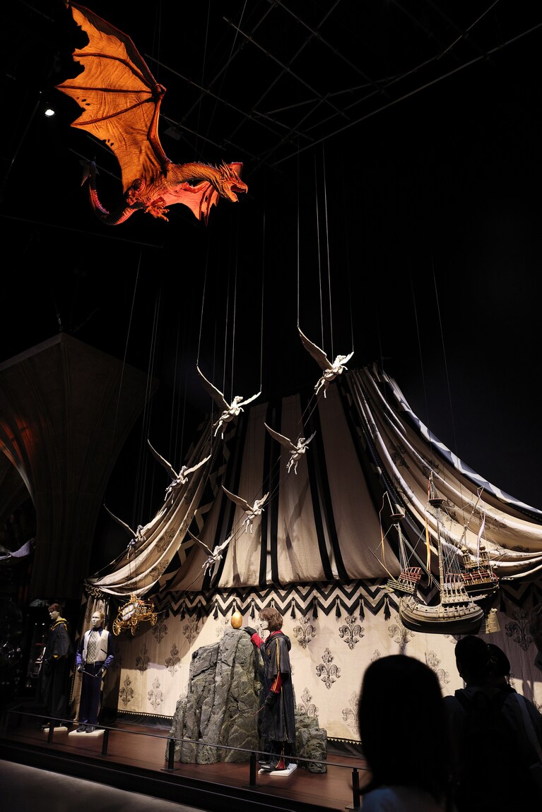 空中にいるハンガリー・ホーンテール。