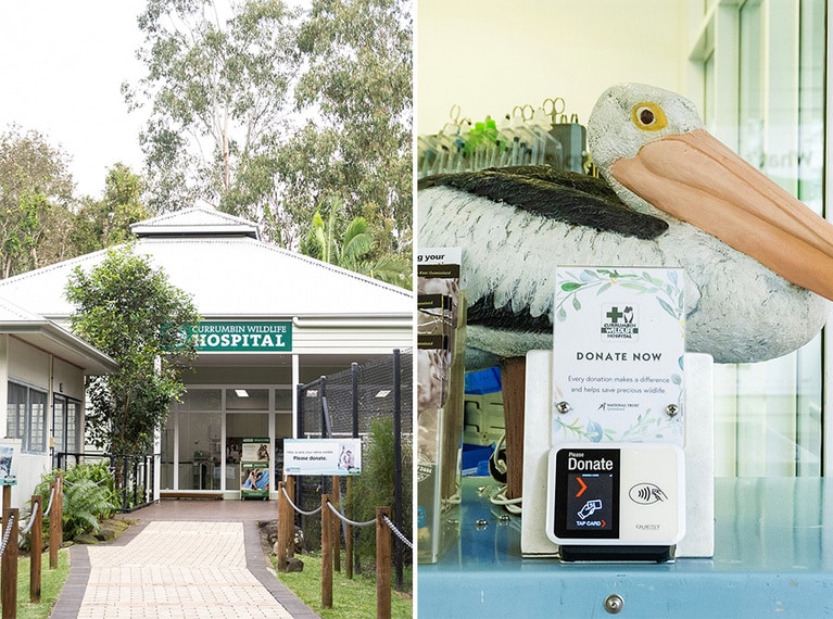 左：カランビン・ワイルドライフ・ホスピタル。
右：病院の前にはクレジットカードをかざすと募金ができるコーナーが。