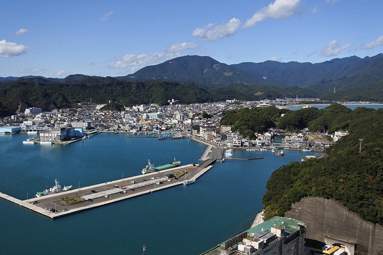 ホテル浦島の狼煙山から見た勝浦港。