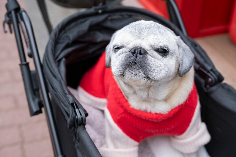 アザーカット。