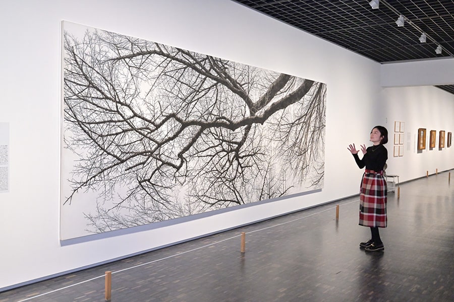 活動初期から30年以上も樹木を描き続けている日高理恵子。桜の裸木を見上げて描いた《樹を見上げてⅦ》（1993年）は2.2×6メートルの大作。