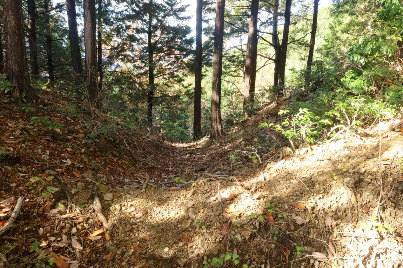 先の写真とは別の堀切