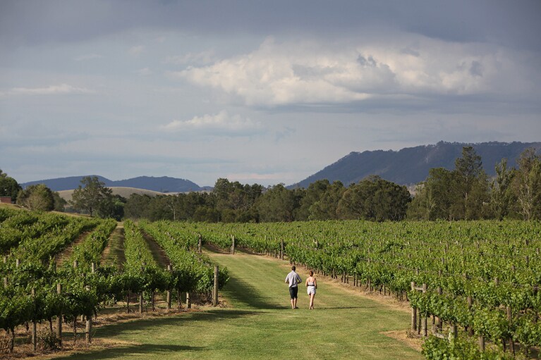 オーストラリアで最も歴史の古いワイン産地、ハンター・バレー。photo:Pernod Ricard Winemakers Pty Ltd