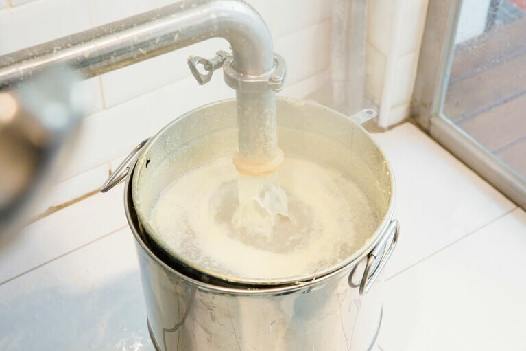 工房で搾られるできたての豆乳。窓越しに見ることができる。