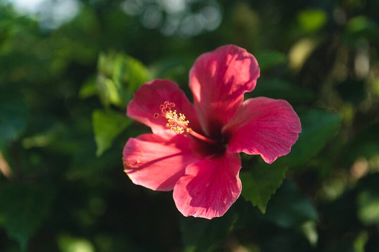 大自然のパワーに包まれて。