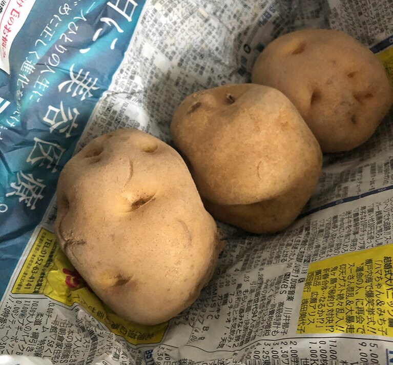 帰国後、ジョニーさんが荷ほどきをしていたら、スーツケースから出てきたジャガイモ。居酒屋で感動してもらってきたのだとか。©Jonny Lake