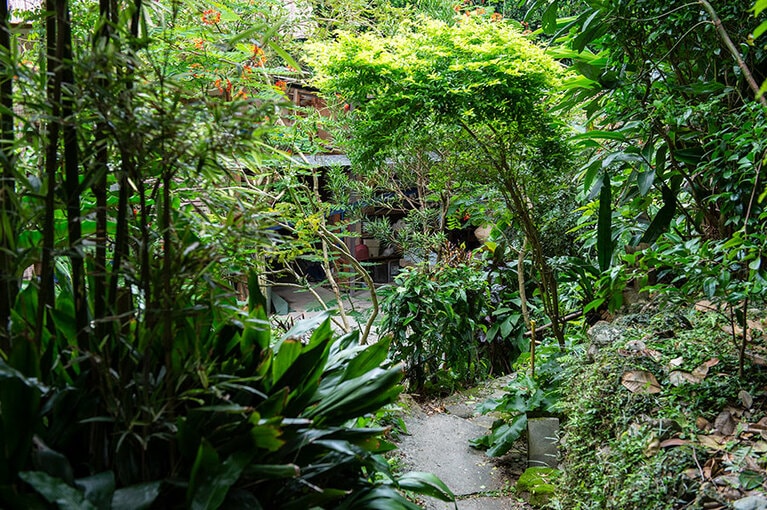 那覇市内にいることが嘘みたいな工房のお庭。