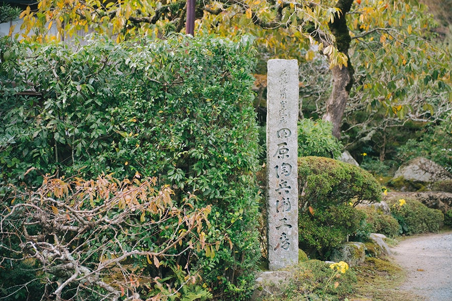 日本の原風景を思わせる山里の木立に囲まれた工房。