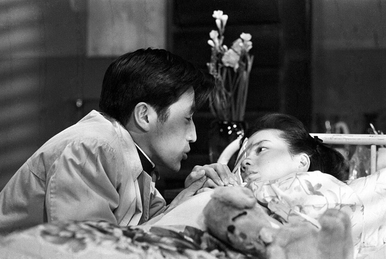 「愛と死をみつめて」より
