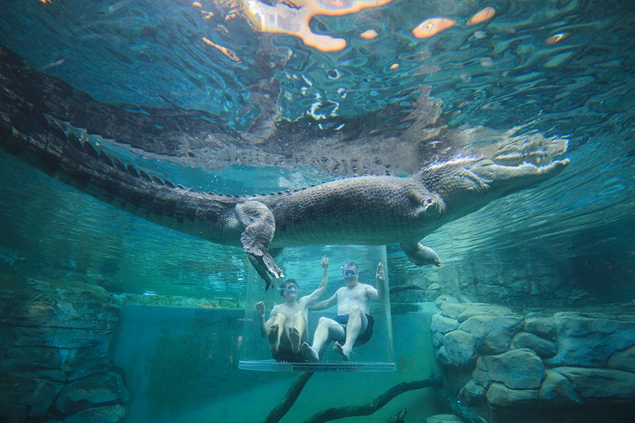 オーストラリアでこれを体験できるのは「クロコザウルス・コーブ」だけ。photo:Tourism Australia