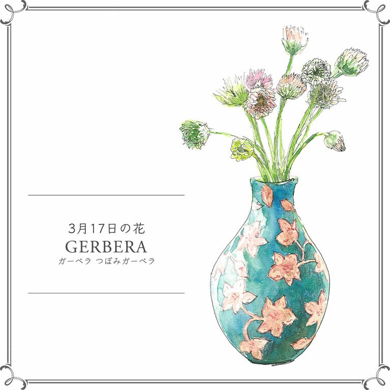 3月17日の花「ガーベラ つぼみガーベラ」