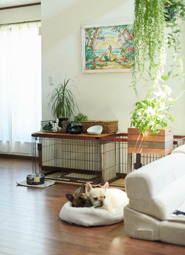 ゲージや水飲み用の器、おもちゃ入れ、ベッドなどを置いたこてつ＆かつおコーナー。茶系のコーディネートが床色にマッチしてよくなじんでいる。カラフルなおもちゃ類もカゴに入れてすっきり収納。