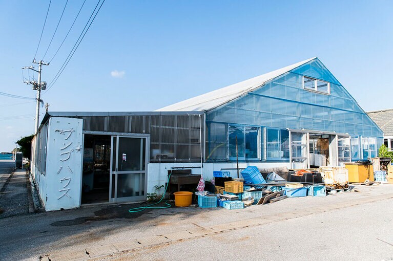 日本初となる、サンゴのひび建て式養殖を始めた恩納村漁港内の養殖場。