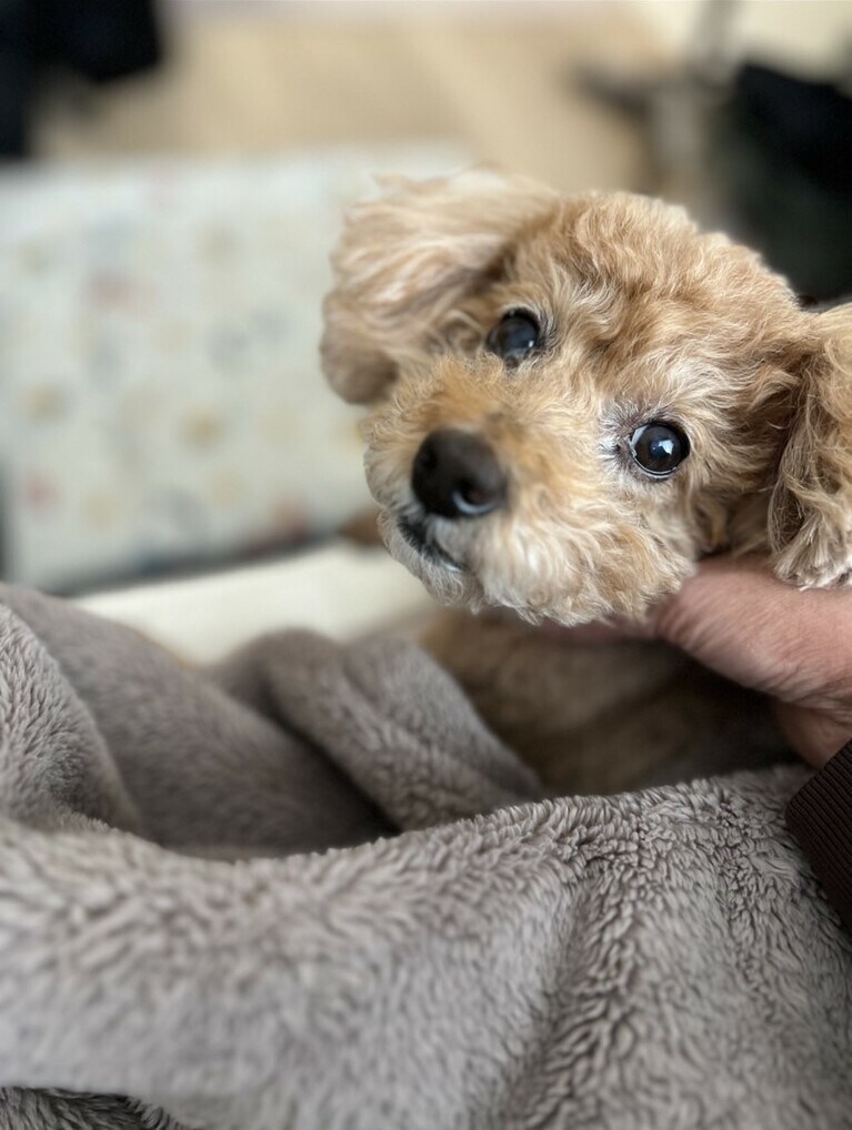 「頭の角度わかってる娘」