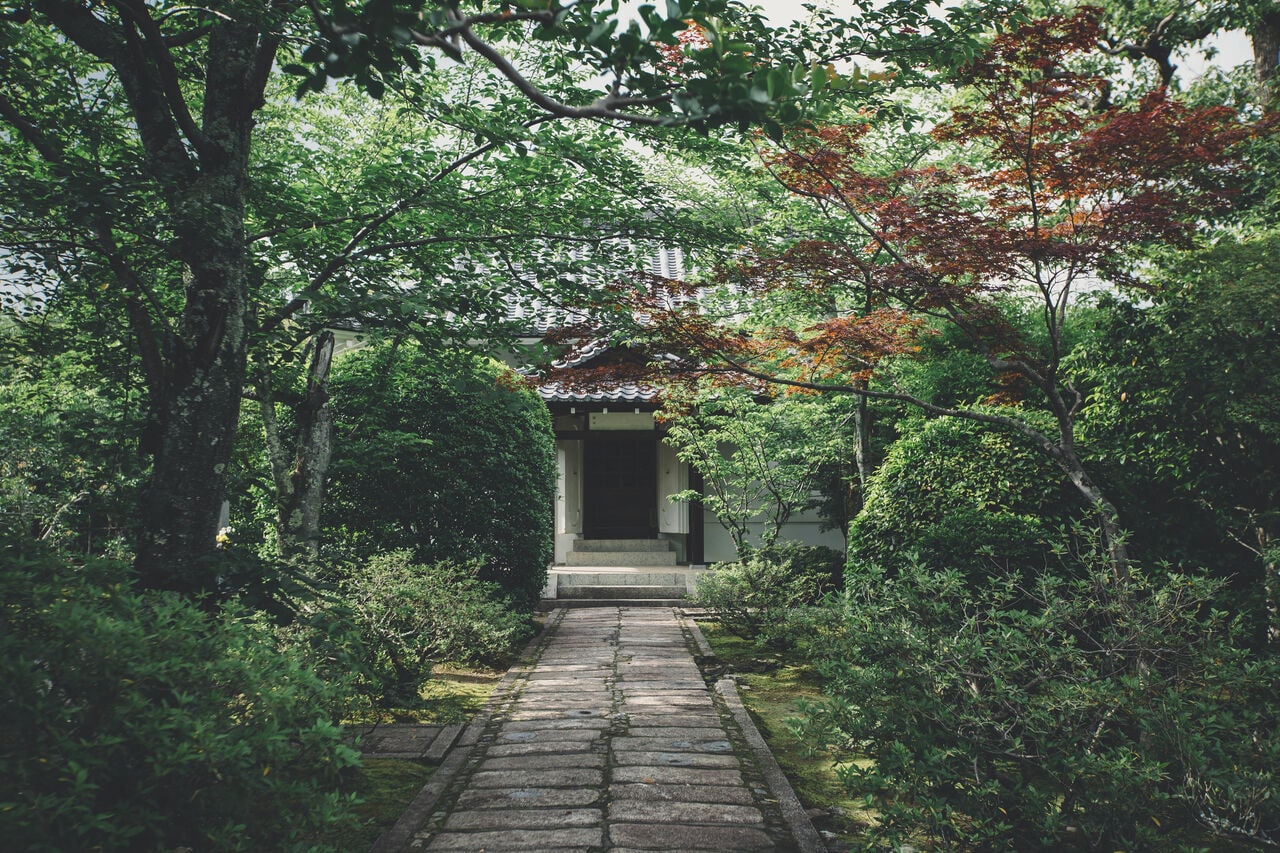 写真はイメージです。提供：アフロ