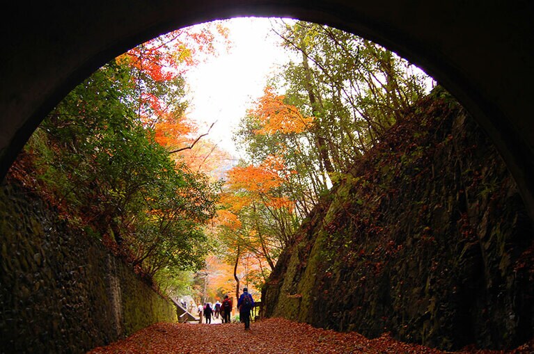 【兵庫県】福知山線廃線敷。