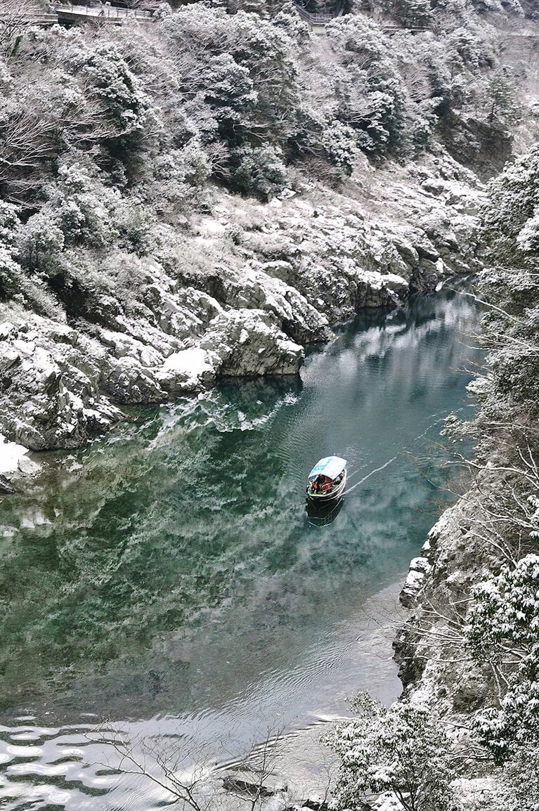 大歩危峡の雪景色。