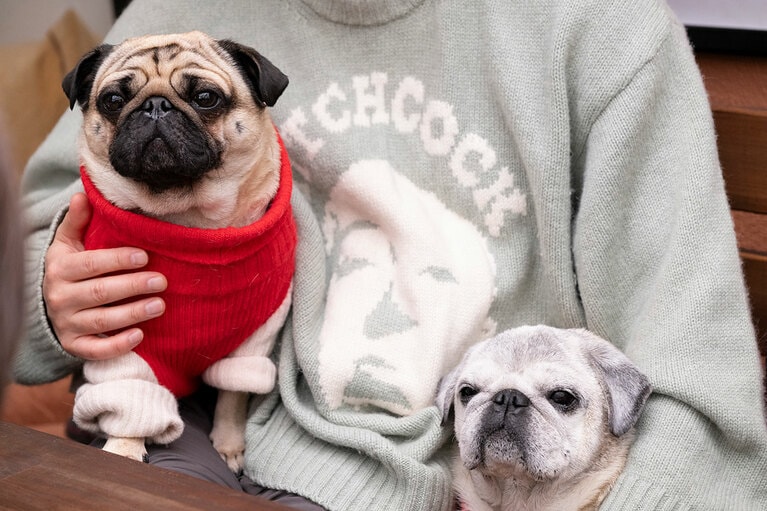 アザーカット。