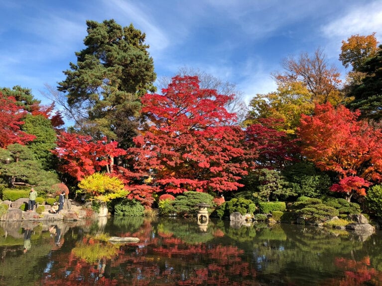 もみじ公園の紅葉。